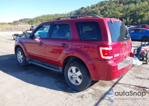 2011 Ford Escape Xlt z USA, uszkodzony, nr VIN 1FMCU9DG5BKB28587